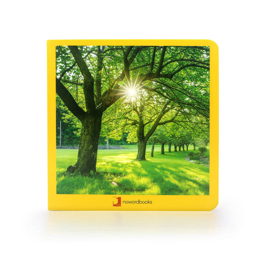 nowordbooks | zomer - woordloos fotoboek