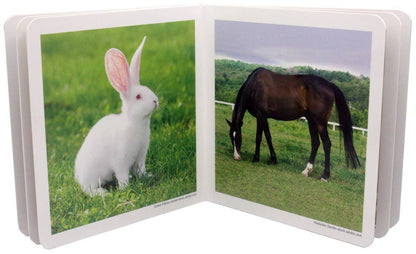 nowordbooks | boerderijdieren - woordloos fotoboek