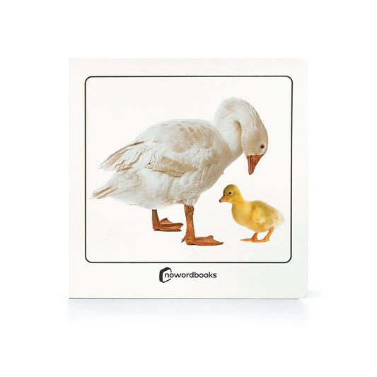nowordbooks | dieren en hun jongen - woordloos fotoboek