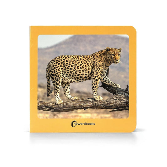 nowordbooks | wilde dieren - woordloos fotoboek