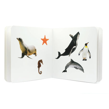nowordbooks | zeedieren 2 - woordloos fotoboek