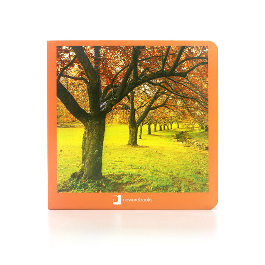 nowordbooks | herfst - woordloos fotoboek