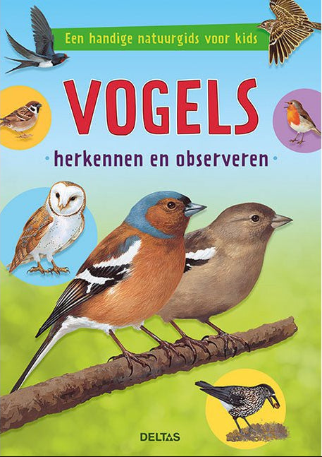 deltas | vogels herkennen en observeren