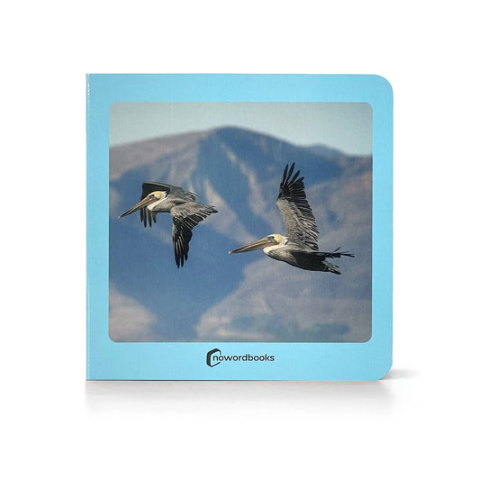 nowordbooks | vogels - woordloos fotoboek