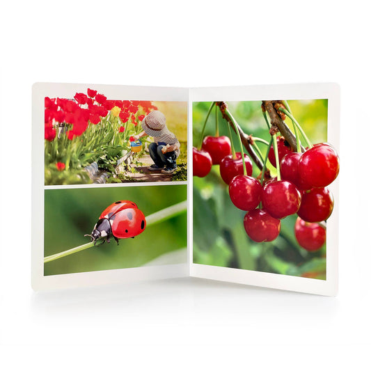 nowordbooks | lente - groot woordloos fotoboek