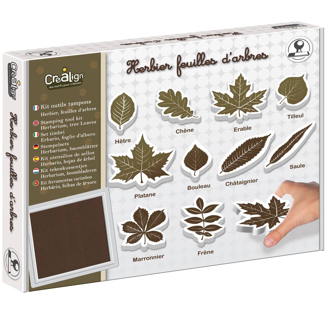 créa lign' - herbarium, boombladeren kit