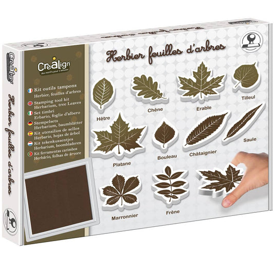 créa lign' - herbarium, boombladeren kit