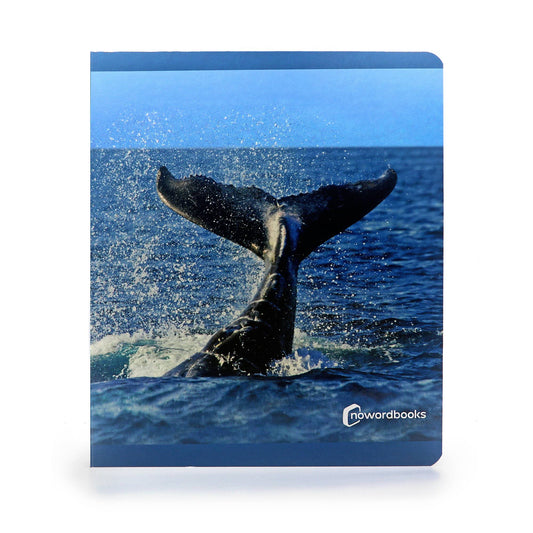 nowordbooks | zeedieren - groot woordloos fotoboek