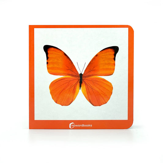 nowordbooks | oranje - woordloos fotoboek