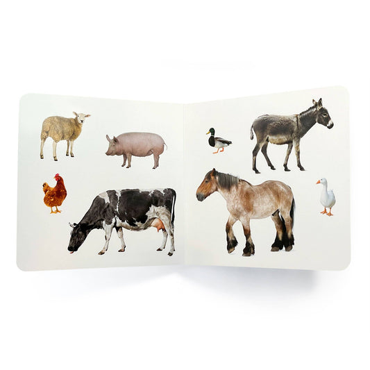 nowordbooks | boerderijdieren 2 - woordloos fotoboek