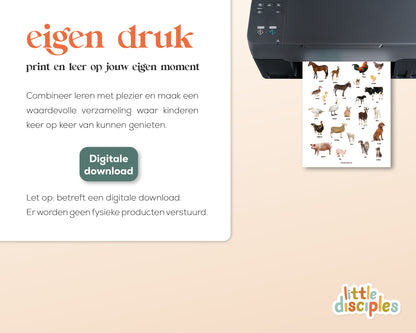 little disciples | boerderijdieren poster - poster