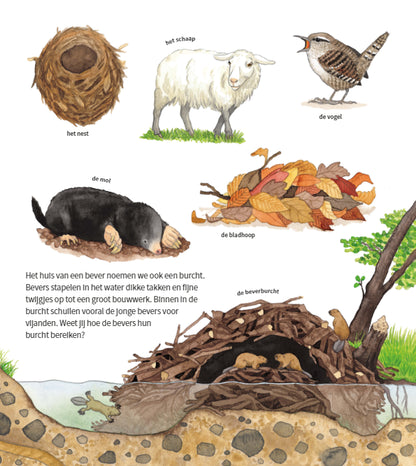 deltas | de dieren om ons heen