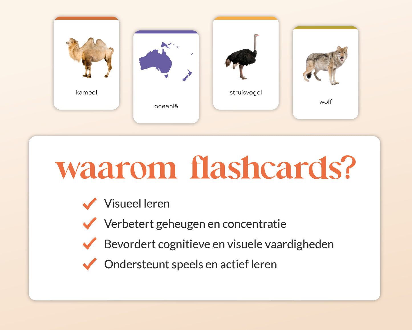 little disciples | continenten en dieren - 57 flashcards