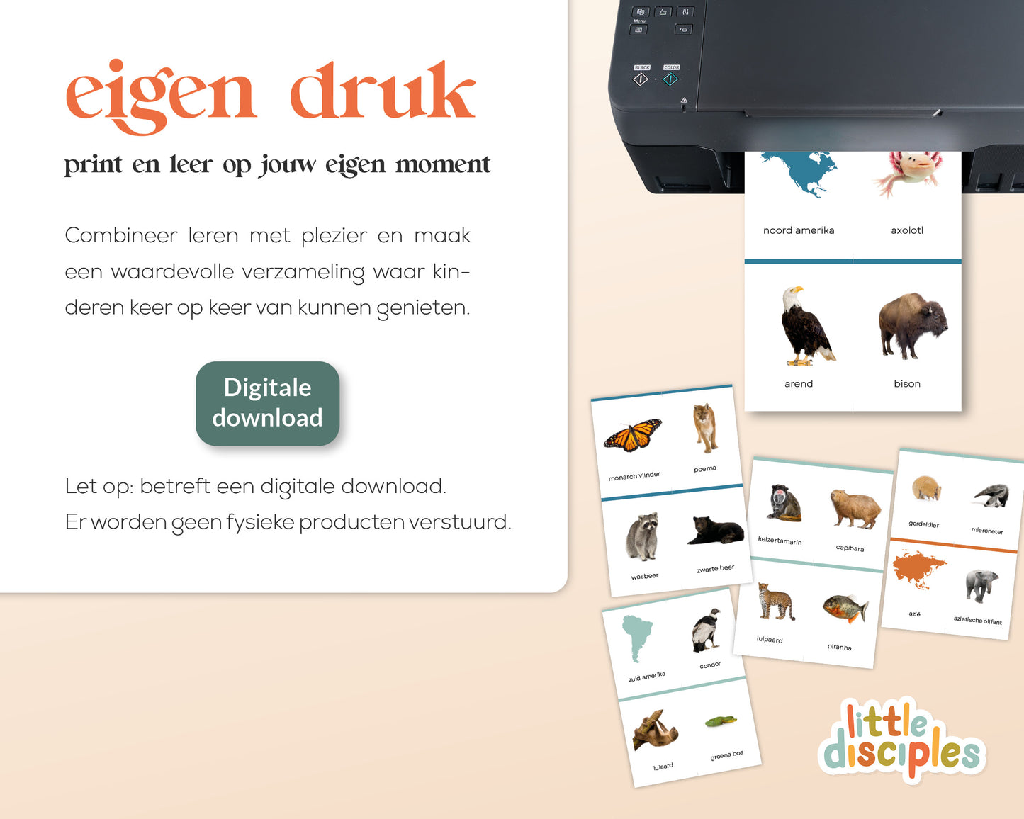 little disciples | continenten en dieren - 57 flashcards