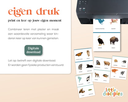little disciples | continenten en dieren - 57 flashcards