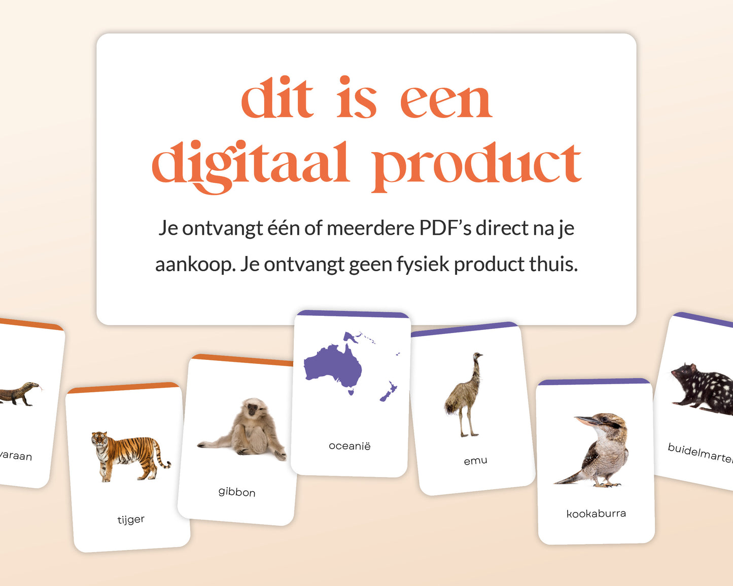 little disciples | continenten en dieren - 57 flashcards
