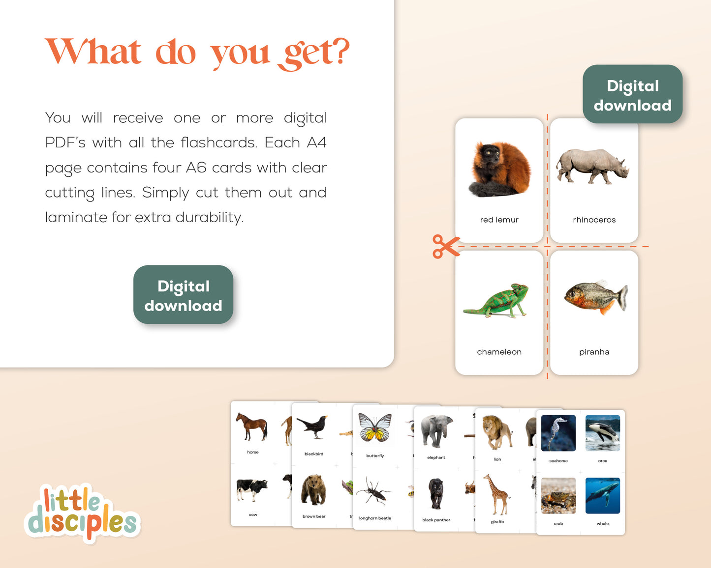 Dieren Flashcards Mega Bundel (Engels) | 149 Montessori flashcards