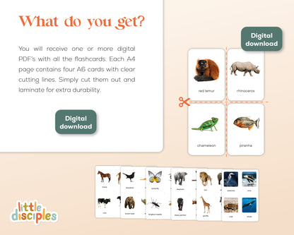 Dieren Flashcards Mega Bundel (Engels) | 149 Montessori flashcards