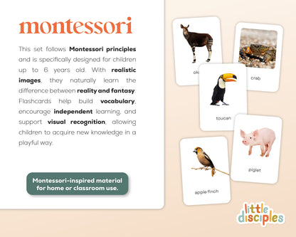 Dieren Flashcards Mega Bundel (Engels) | 149 Montessori flashcards
