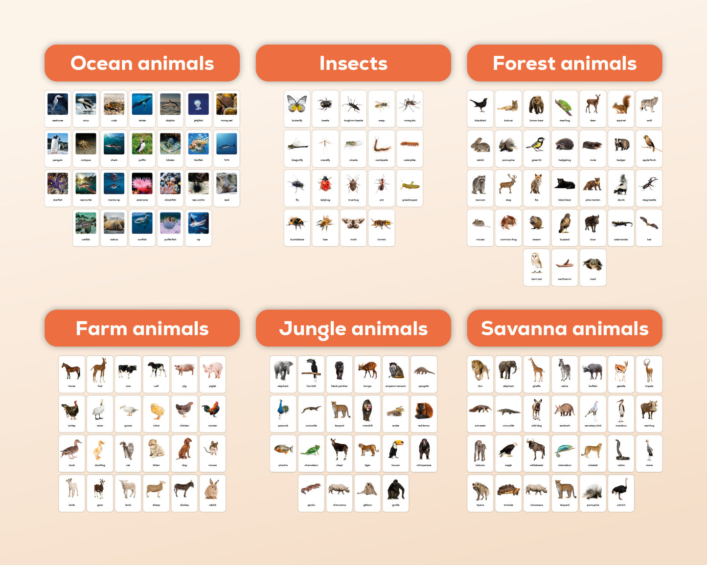 Dieren Flashcards Mega Bundel (Engels) | 149 Montessori flashcards