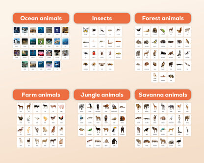 Dieren Flashcards Mega Bundel (Engels) | 149 Montessori flashcards