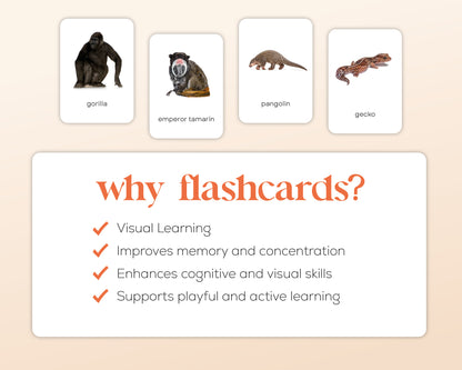 Dieren Flashcards Mega Bundel (Engels) | 149 Montessori flashcards