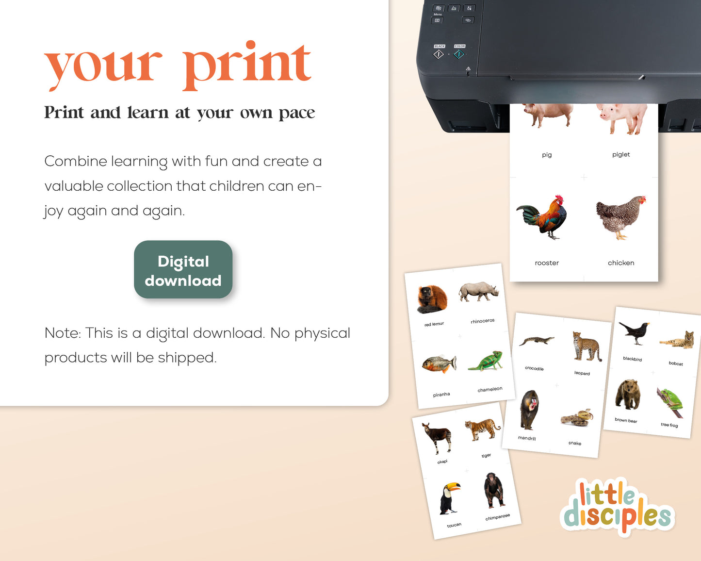 Dieren Flashcards Mega Bundel (Engels) | 149 Montessori flashcards
