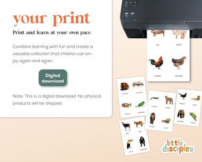 Dieren Flashcards Mega Bundel (Engels) | 149 Montessori flashcards