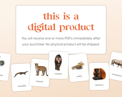 Dieren Flashcards Mega Bundel (Engels) | 149 Montessori flashcards