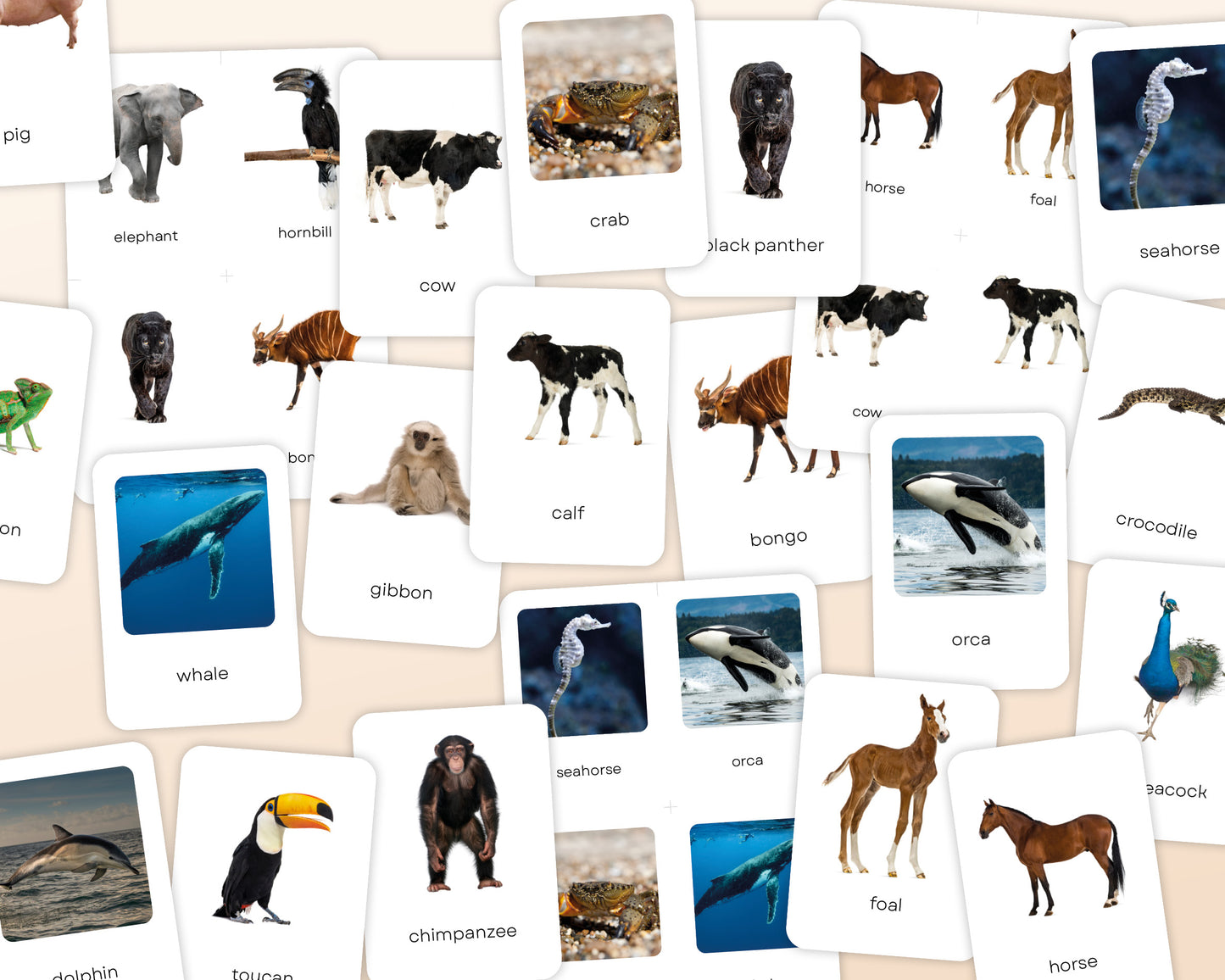 Dieren Flashcards Mega Bundel (Engels) | 149 Montessori flashcards