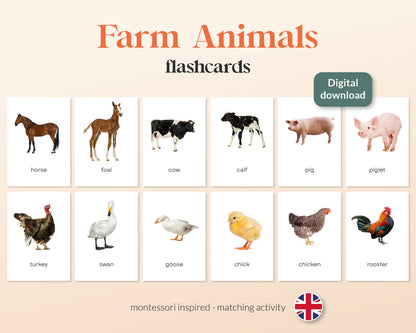 little disciples | boerderijdieren - 24 flashcards