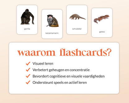 little disciples | jungledieren - 22 flashcards