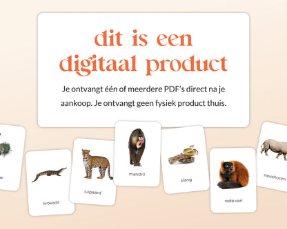 little disciples | jungledieren - 22 flashcards
