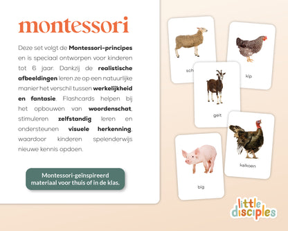 little disciples | boerderijdieren - 24 flashcards