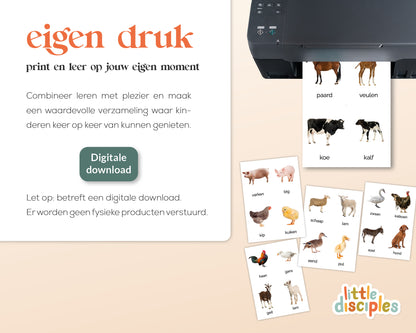 little disciples | boerderijdieren - 24 flashcards