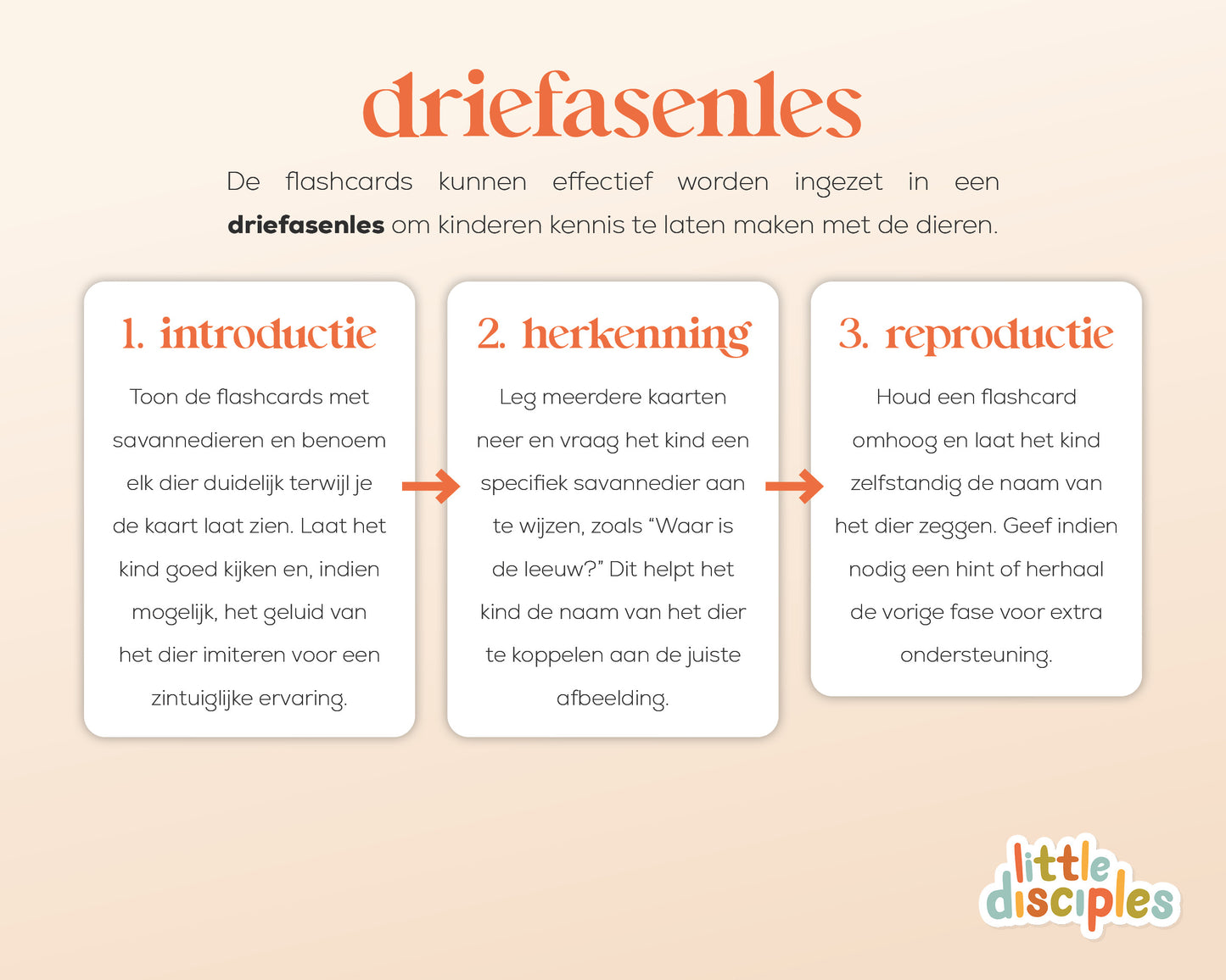 little disciples | savannedieren - 27 flashcards