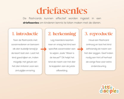little disciples | savannedieren - 27 flashcards