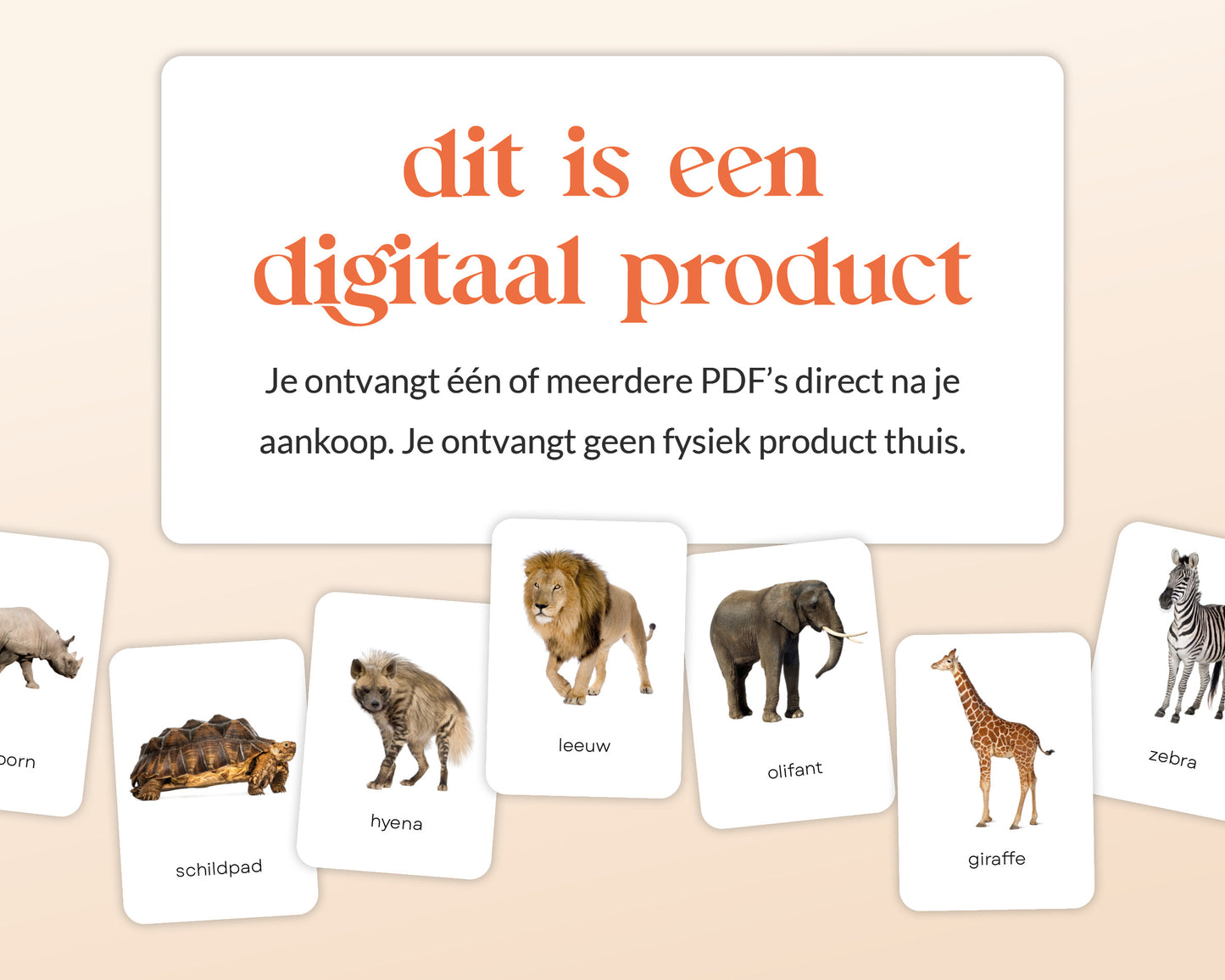 little disciples | savannedieren - 27 flashcards