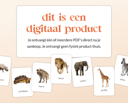 little disciples | savannedieren - 27 flashcards