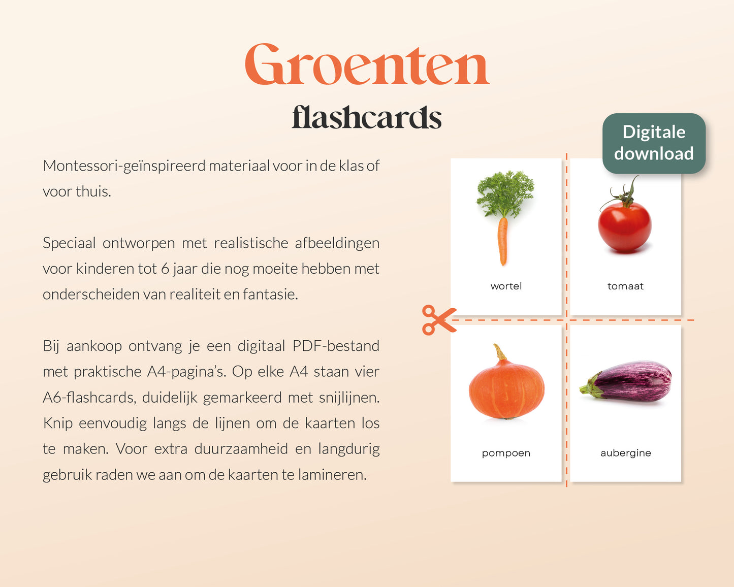 little disciples | groenten - 35 flashcards