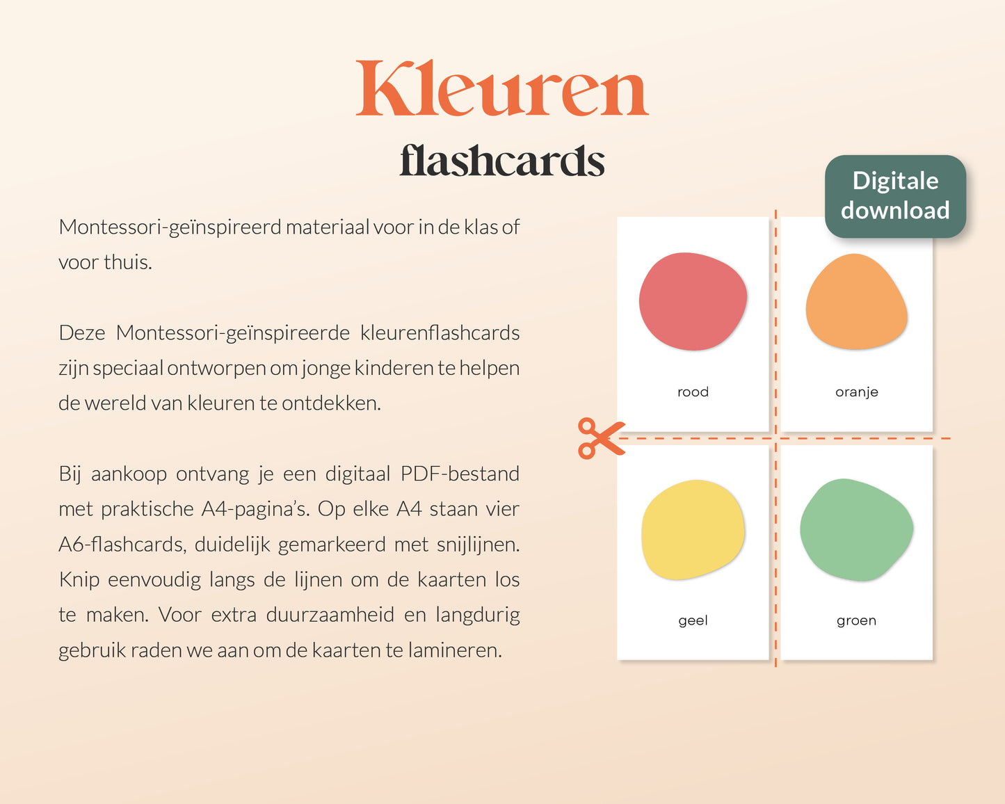 little disciples | kleuren - 12 flashcards