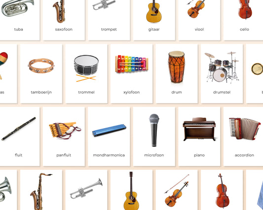 little disciples | muziekinstrumenten - 20 flashcards