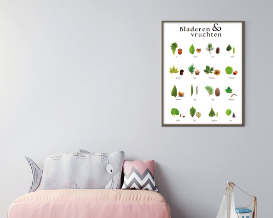 little disciples | bladeren en vruchten, nederlandse bomen - poster