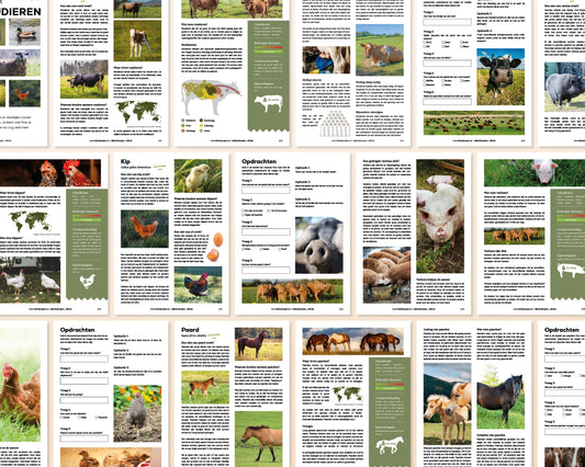 little disciples | boerderijdieren factsheets - 36 pagina's