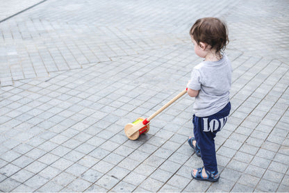 plantoys | loopstok "walk & roll"