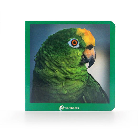 nowordbooks | groen - woordloos fotoboek