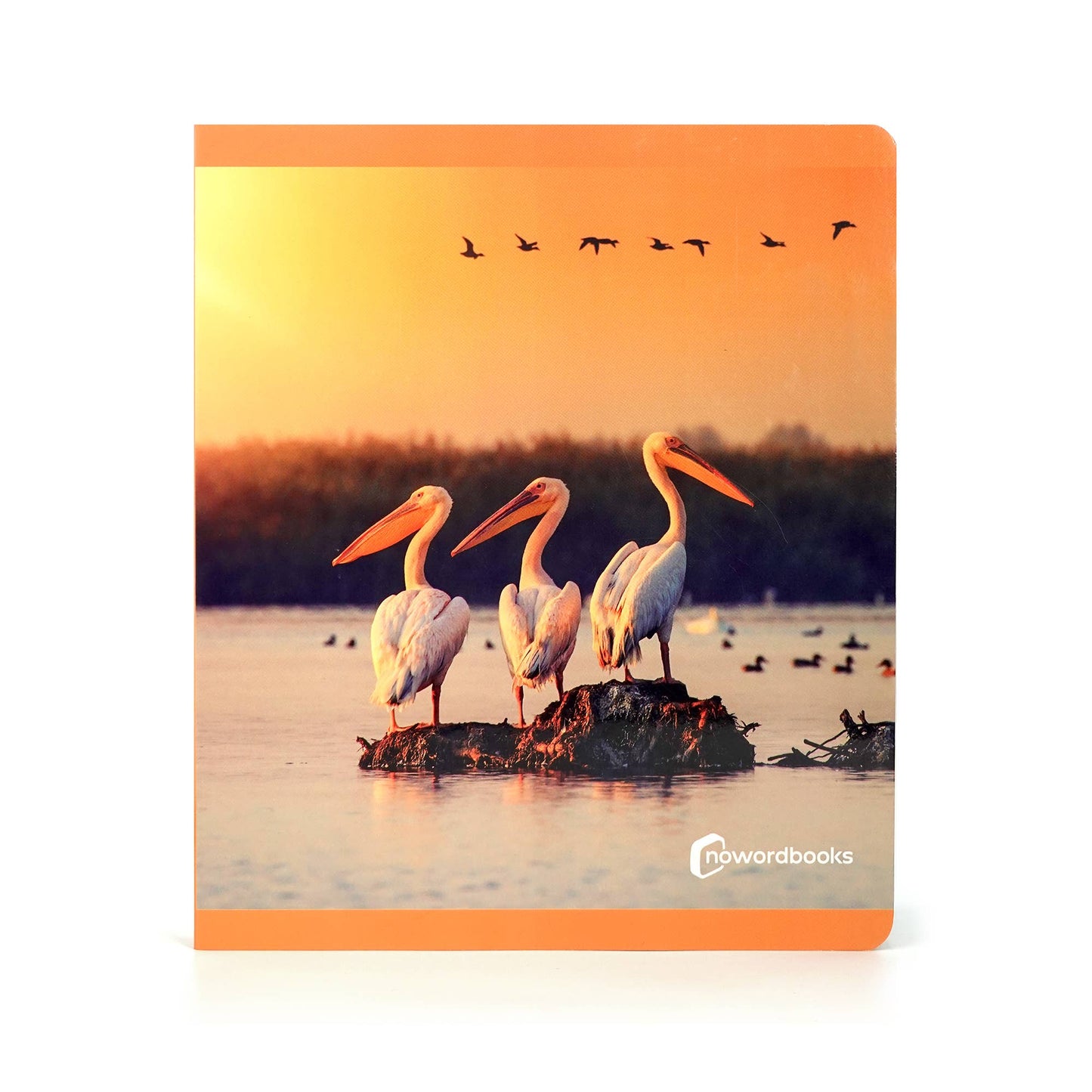 nowordbooks | vogels - groot woordloos fotoboek