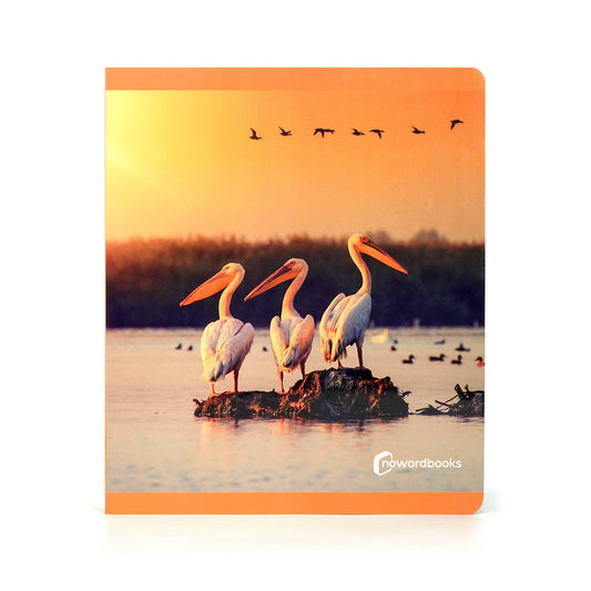 nowordbooks | vogels - groot woordloos fotoboek
