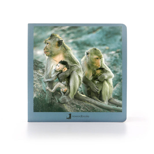nowordbooks | dieren families 2 - woordloos fotoboek