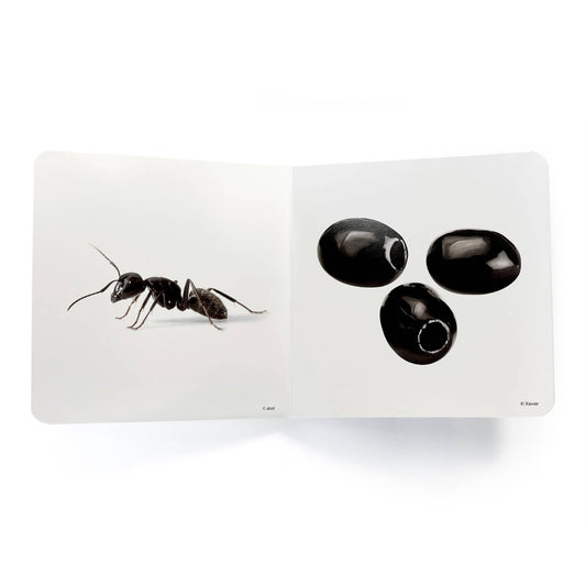 nowordbooks | zwart - woordloos fotoboek